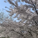 青岛旅游 缩略图 5