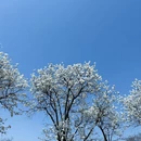 上海旅游 缩略图 5