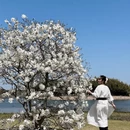 上海旅游 缩略图 1