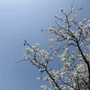 上海旅游 缩略图 10