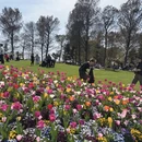 上海旅游 缩略图 17