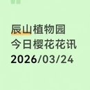 上海旅游 缩略图 1