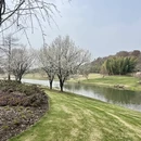 上海旅游 缩略图 4