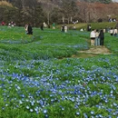 上海旅游 缩略图 1