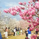 上海旅游 缩略图 12
