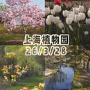 上海旅游 缩略图 1