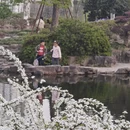上海旅游 缩略图 12