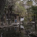 上海旅游 缩略图 10