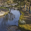 上海旅游 缩略图 4