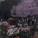 上海旅游 缩略图 17