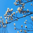 上海旅游 缩略图 3