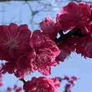上海旅游 缩略图 10