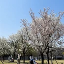 上海旅游 缩略图 11