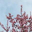 上海旅游 缩略图 7