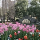 上海旅游 缩略图 2