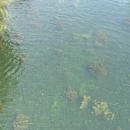 上海旅游 缩略图 18