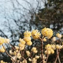 上海旅游 缩略图 6