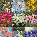 上海旅游 缩略图 1