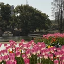 上海旅游 缩略图 8
