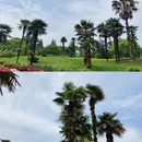 上海旅游 缩略图 3