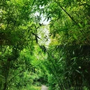上海旅游 缩略图 7