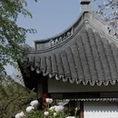 上海旅游 缩略图 15