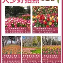 上海旅游 缩略图 3