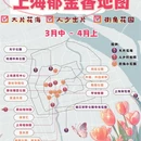 上海旅游 缩略图 1