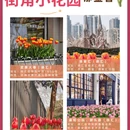 上海旅游 缩略图 5