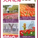 上海旅游 缩略图 2