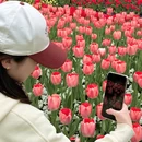 上海旅游 缩略图 8
