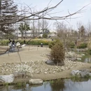 上海旅游 缩略图 7