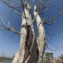上海旅游 缩略图 10