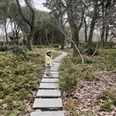 上海旅游 缩略图 8