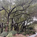 上海旅游 缩略图 10