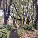 上海旅游 缩略图 11