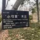上海旅游 缩略图 9