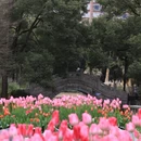 上海旅游 缩略图 2
