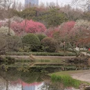 上海旅游 缩略图 12
