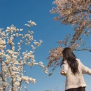 上海旅游 缩略图 2