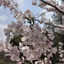 上海旅游 缩略图 1