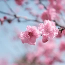 上海旅游 缩略图 6
