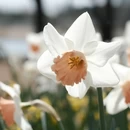上海旅游 缩略图 5
