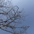 上海旅游 缩略图 5
