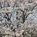 上海旅游 缩略图 6