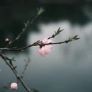 上海旅游 缩略图 7