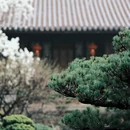上海旅游 缩略图 10