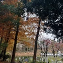 上海旅游 缩略图 2
