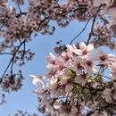 上海旅游 缩略图 3
