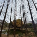 上海旅游 缩略图 6